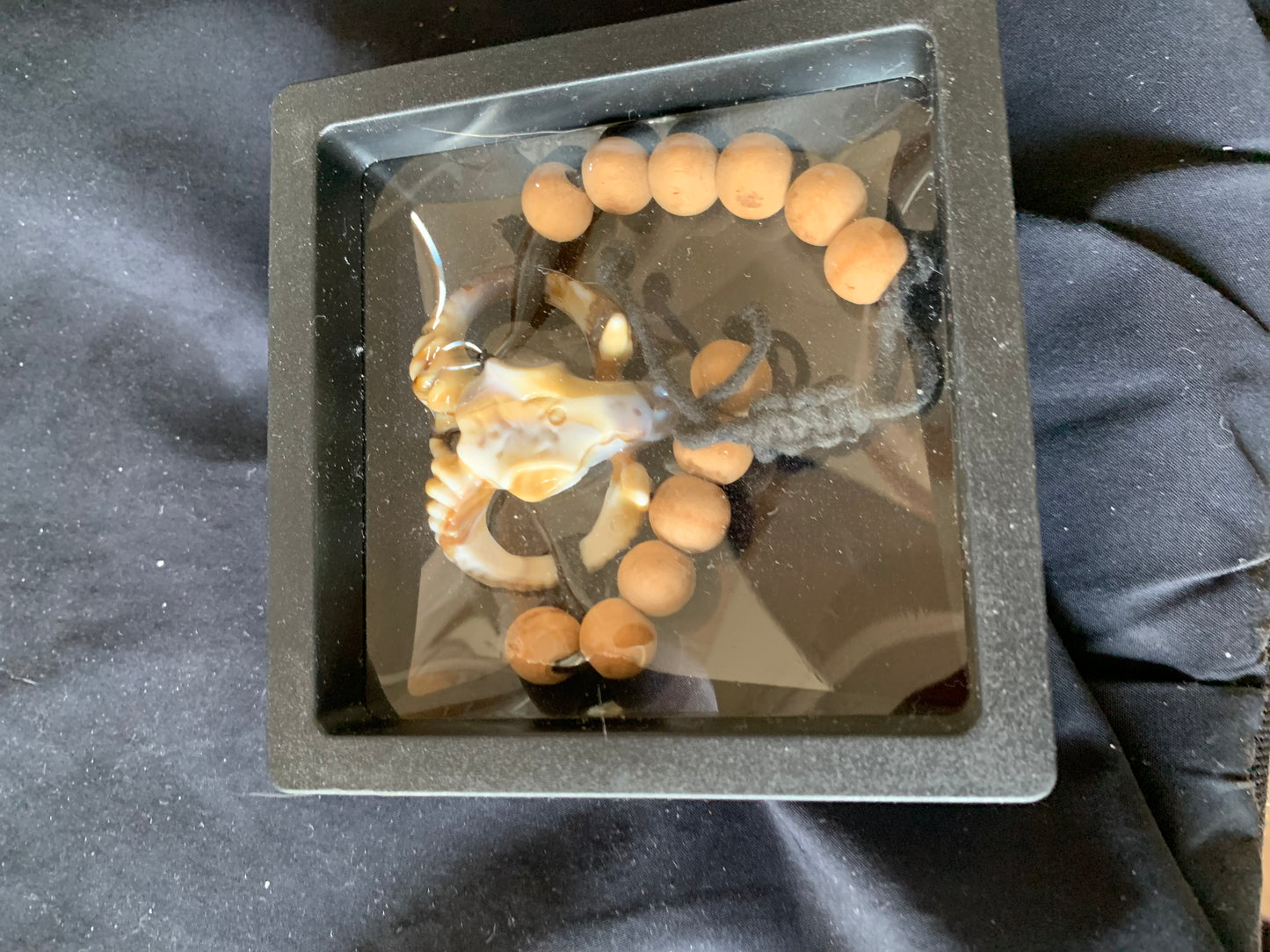 Bracelet Bullhead and Beads string Adjustable