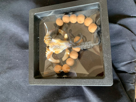 Bracelet Bullhead and Beads string Adjustable